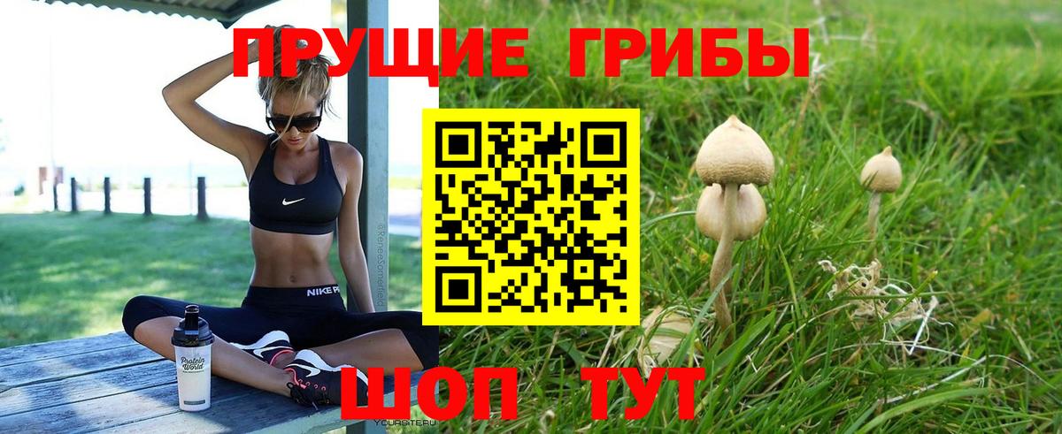 Псилоцибиновые грибы Psilocybine cubensis  Псилоцибиновые грибы Psilocybe  Городец  Вход с VPN 